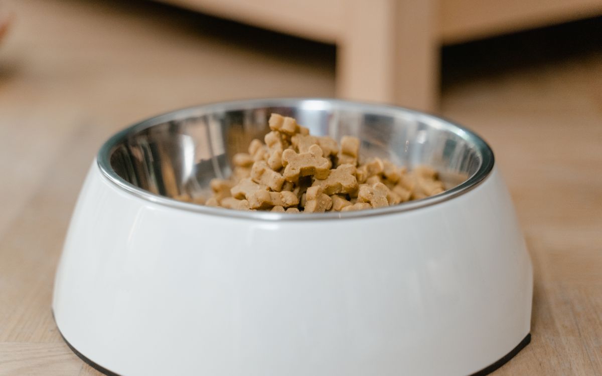 A white dog bowl with dry food in it on a wooden floor