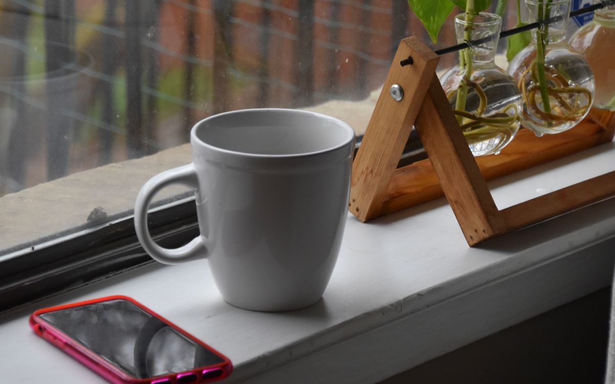 One mug and a phone on a windowsill beside cuttings rooting in glass jars